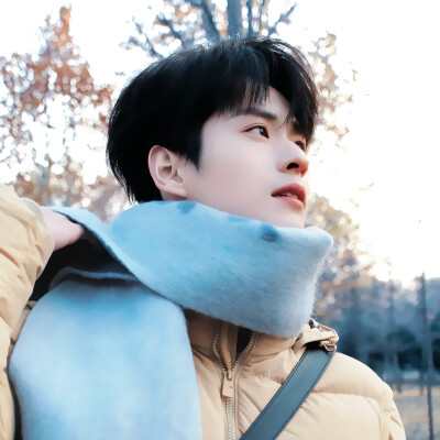 介于北树和栀子