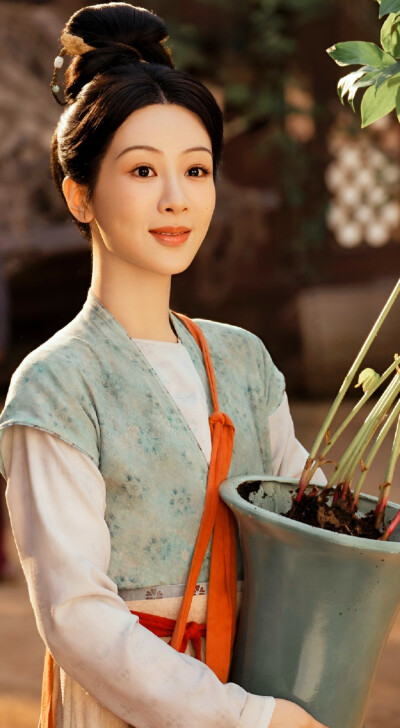 杨紫