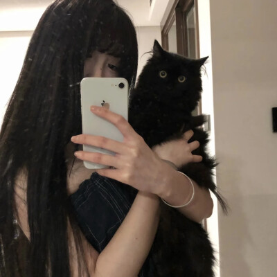dt愛与莲