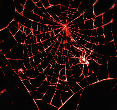 灰郁的眼泪与骨骼相触 血管是琴谱