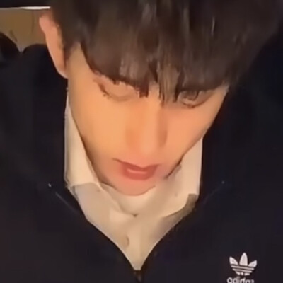 顺毛盆盆
