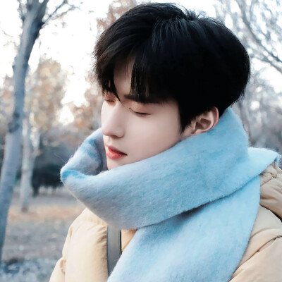 介于北树和栀子