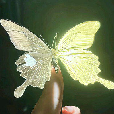 绿 绿色系 小清新 女头 风景