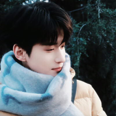 介于北树和栀子