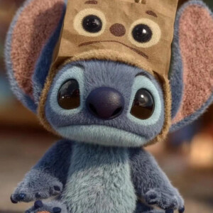 史迪仔 史迪奇 头像