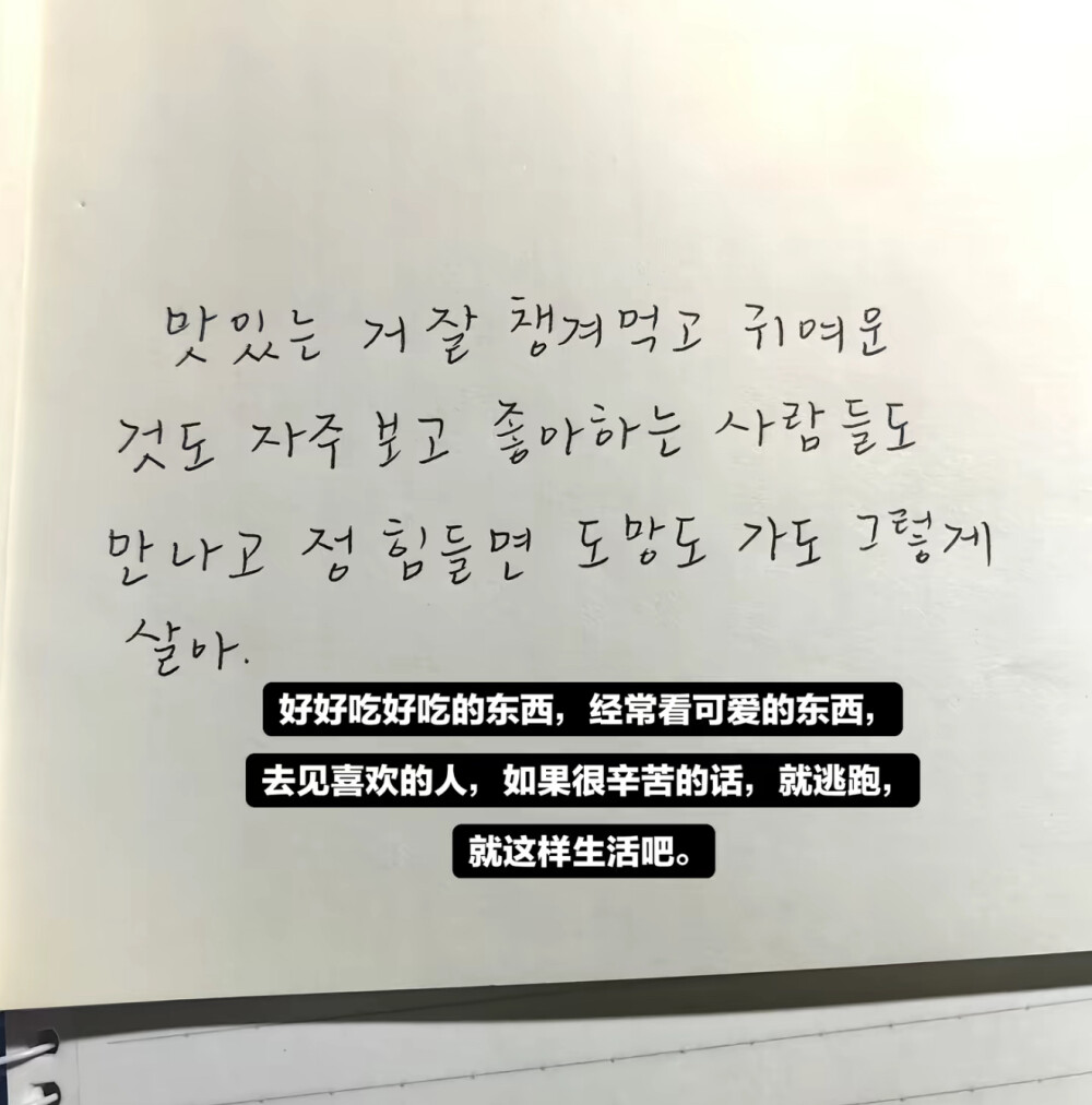 我的幸福宗旨