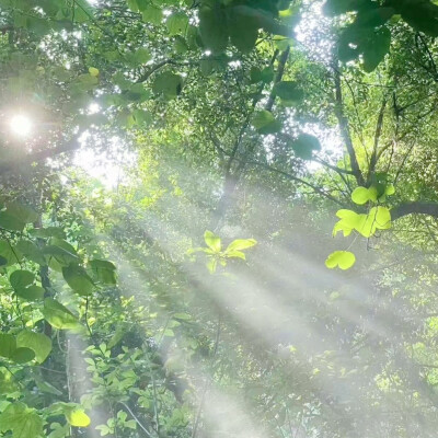 绿 绿色系 小清新 女头 风景