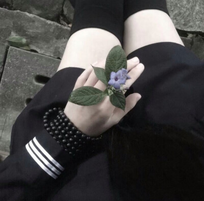 我想爱你浅浅如呼吸