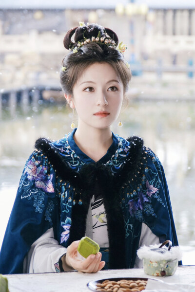 朝雪录 秦莞
