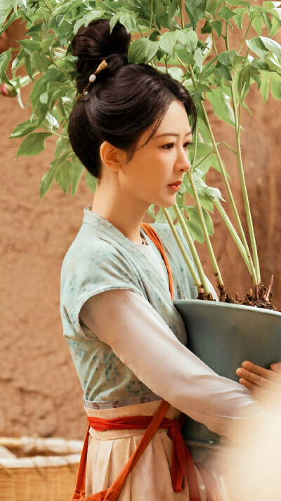 杨紫