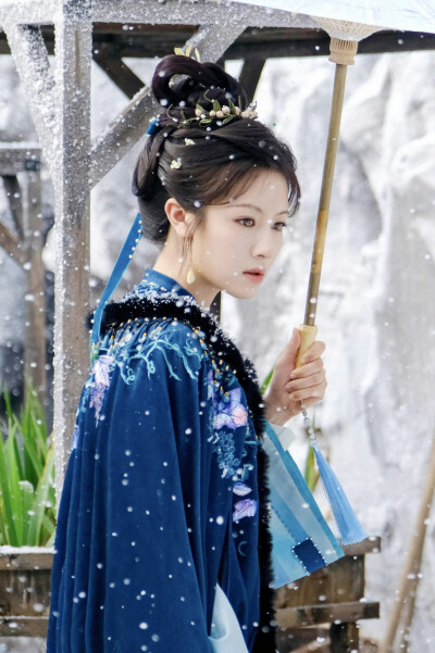 朝雪录 秦莞