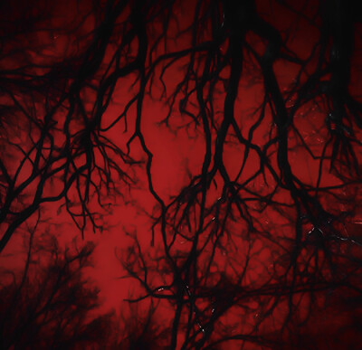 灰郁的眼泪与骨骼相触 血管是琴谱