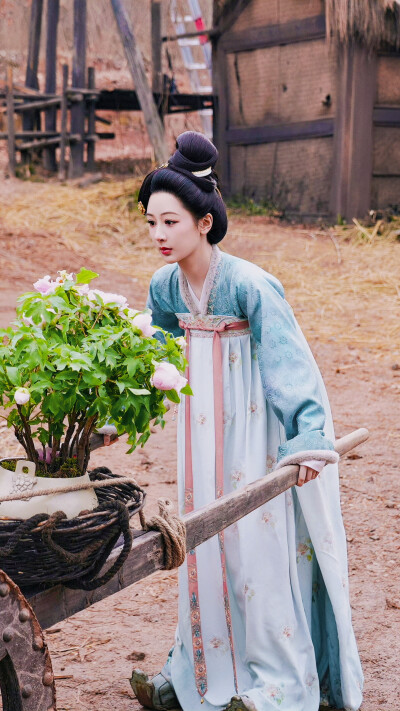 锦绣芳华