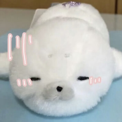 (⌒▽⌒)
