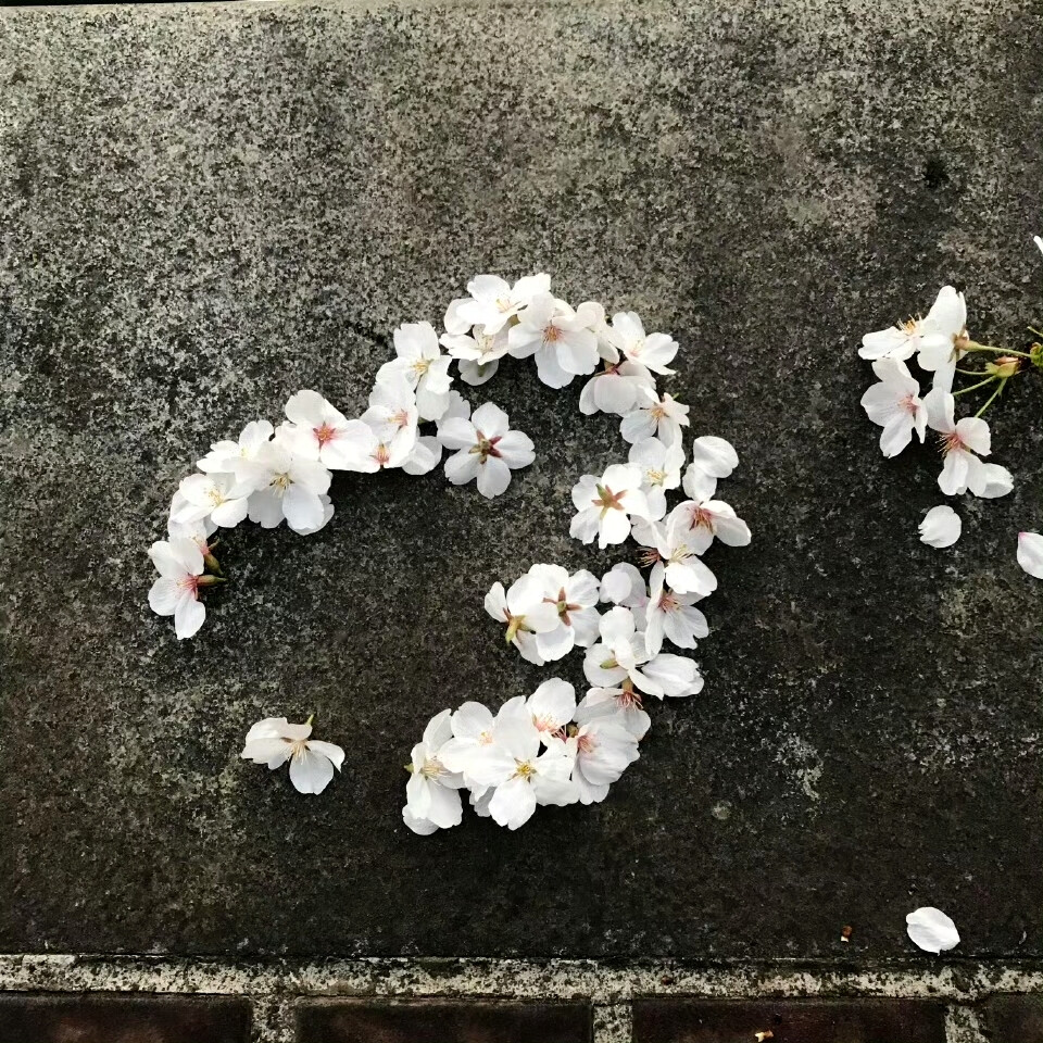 改