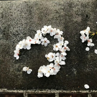 改