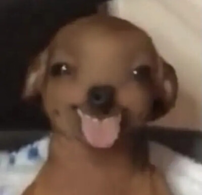 ⁹