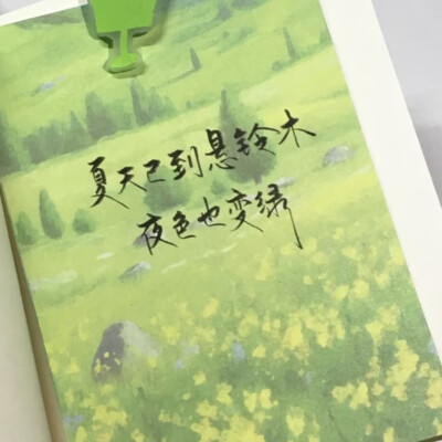 绿色背景图ins