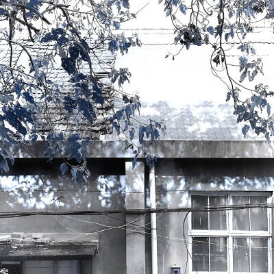 
萌物中的萌物 萌物中的统治者 萌物之主 萌物的终结者 萌王 萌师 萌神 压倒性萌物 萌物史上永垂不朽的巅峰