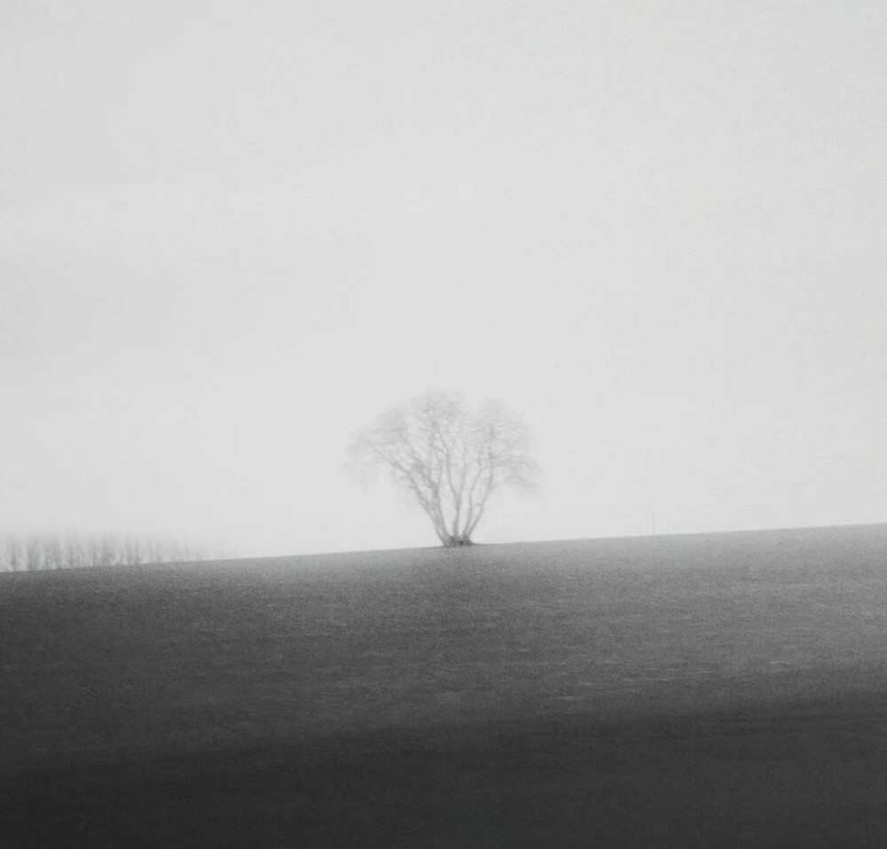 眼泪是人的纯真