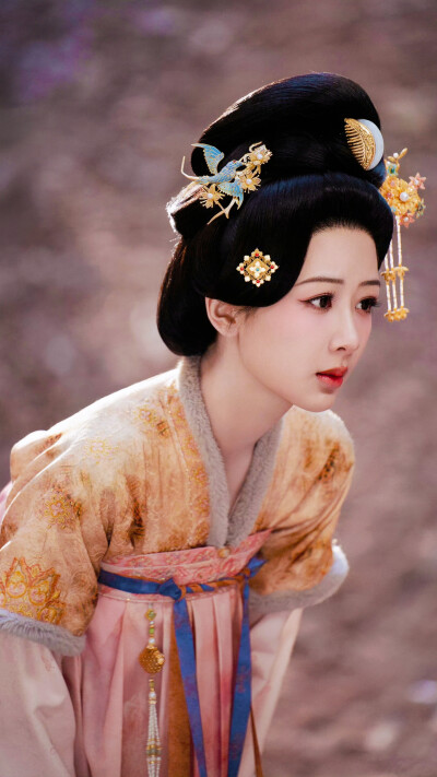 锦绣芳华