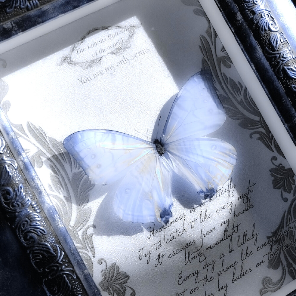 
萌物中的萌物 萌物中的统治者 萌物之主 萌物的终结者 萌王 萌师 萌神 压倒性萌物 萌物史上永垂不朽的巅峰