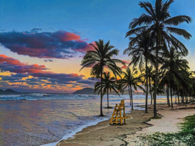 ： 听说 蝴蝶流的眼泪是白色的
