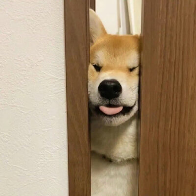 搞怪情头