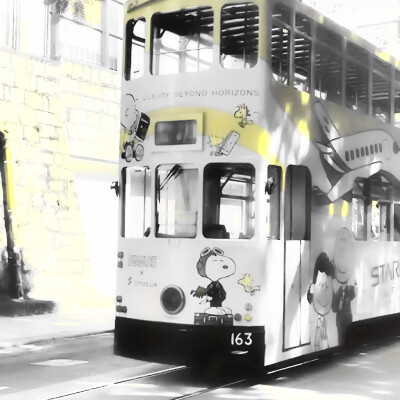 Wutong tree！怦然の心动：