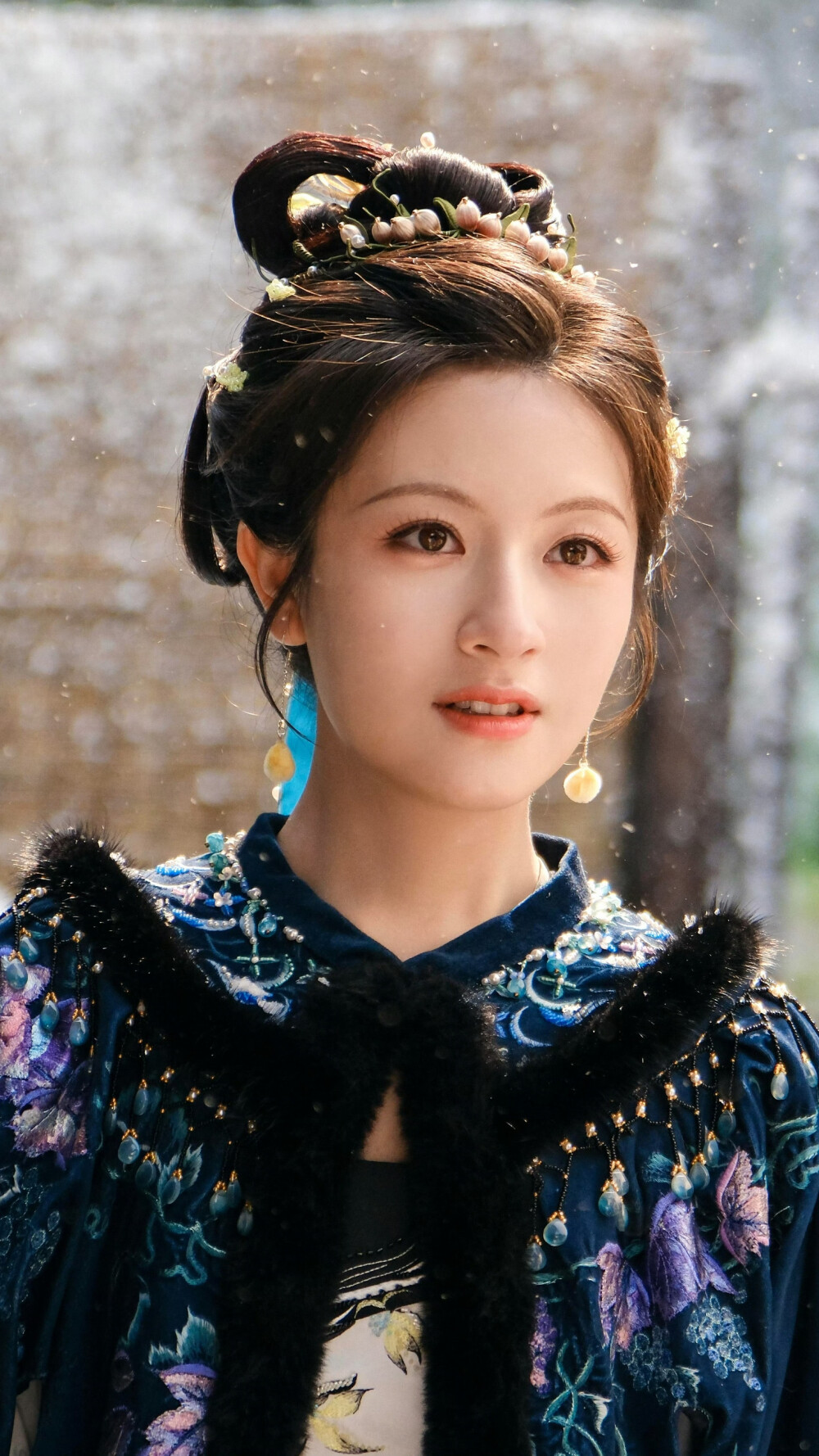 朝雪录 秦莞 李兰迪