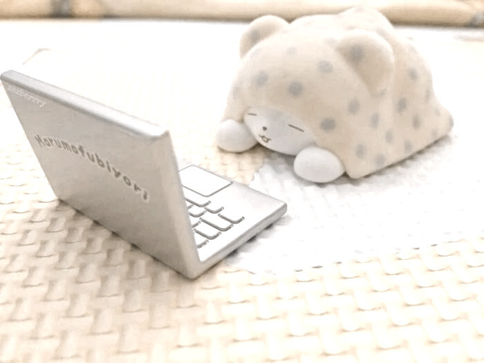 镜头邂逅阳光 折射幸福