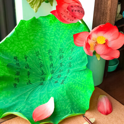 荷花背景图