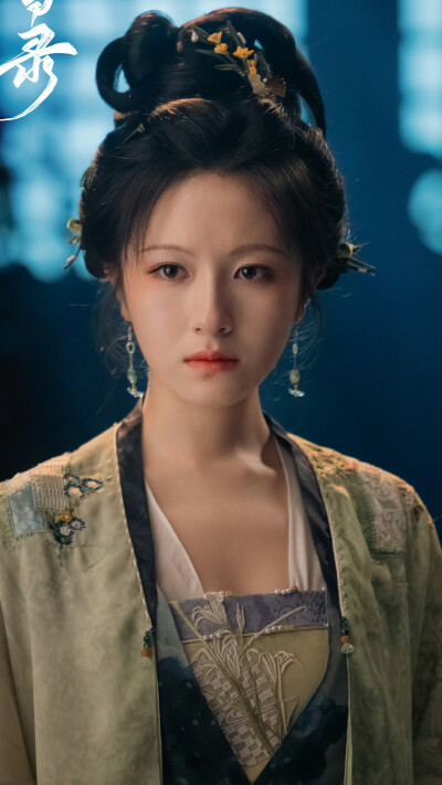 朝雪录 秦莞 李兰迪