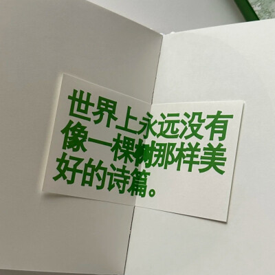 绿色背景图ins