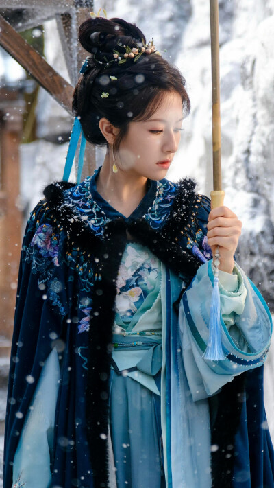 朝雪录 秦莞 李兰迪