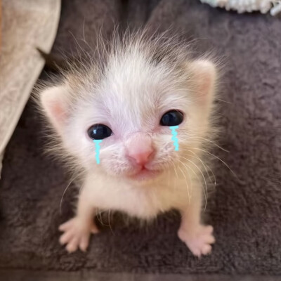 亿次方