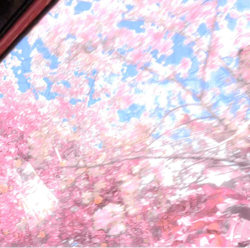 萌物中的萌物 萌物中的统治者 萌物之主 萌物的终结者
萌王 萌师 萌神 压倒性萌物 萌物史上永垂不朽的巅峰 