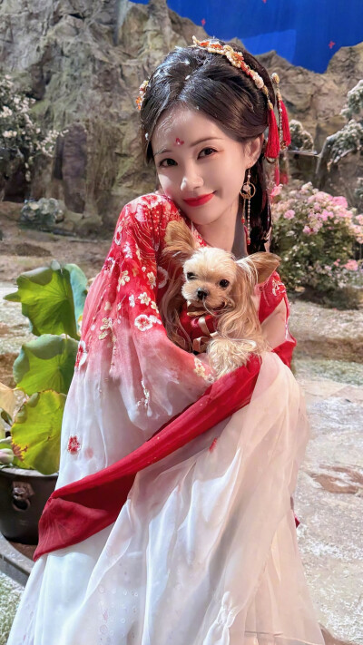 书卷一梦 宋小鱼 宋一梦 李一桐