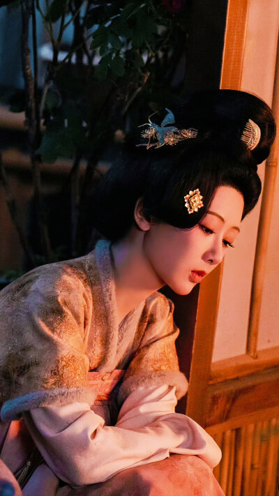 锦绣芳华