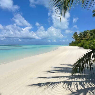 海的背景图 蓝色系背景图