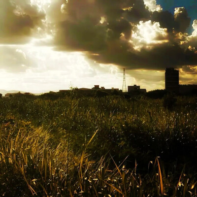 ： 你的眼睛里有海 煙波藍 兩顆黑瞳是害羞的泅泳的小鯨
