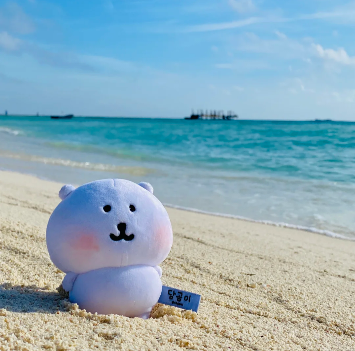 海的背景图 蓝色系背景图