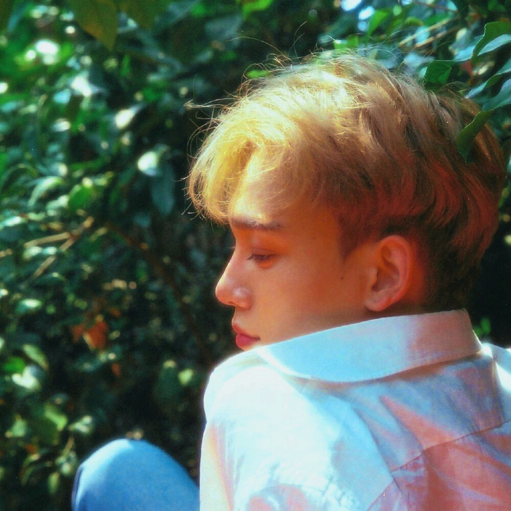 ： 听说 蝴蝶流的眼泪是白色的
