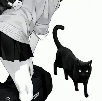 我的幸福就像小猫 无数次靠近 无数次被抓伤