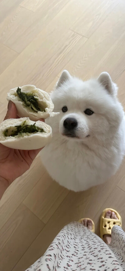 手机壁纸