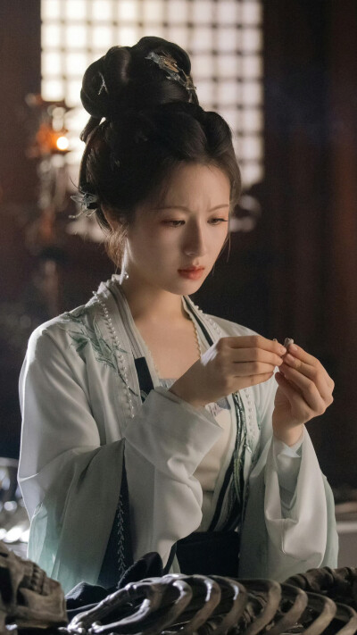 朝雪录 秦莞 李兰迪