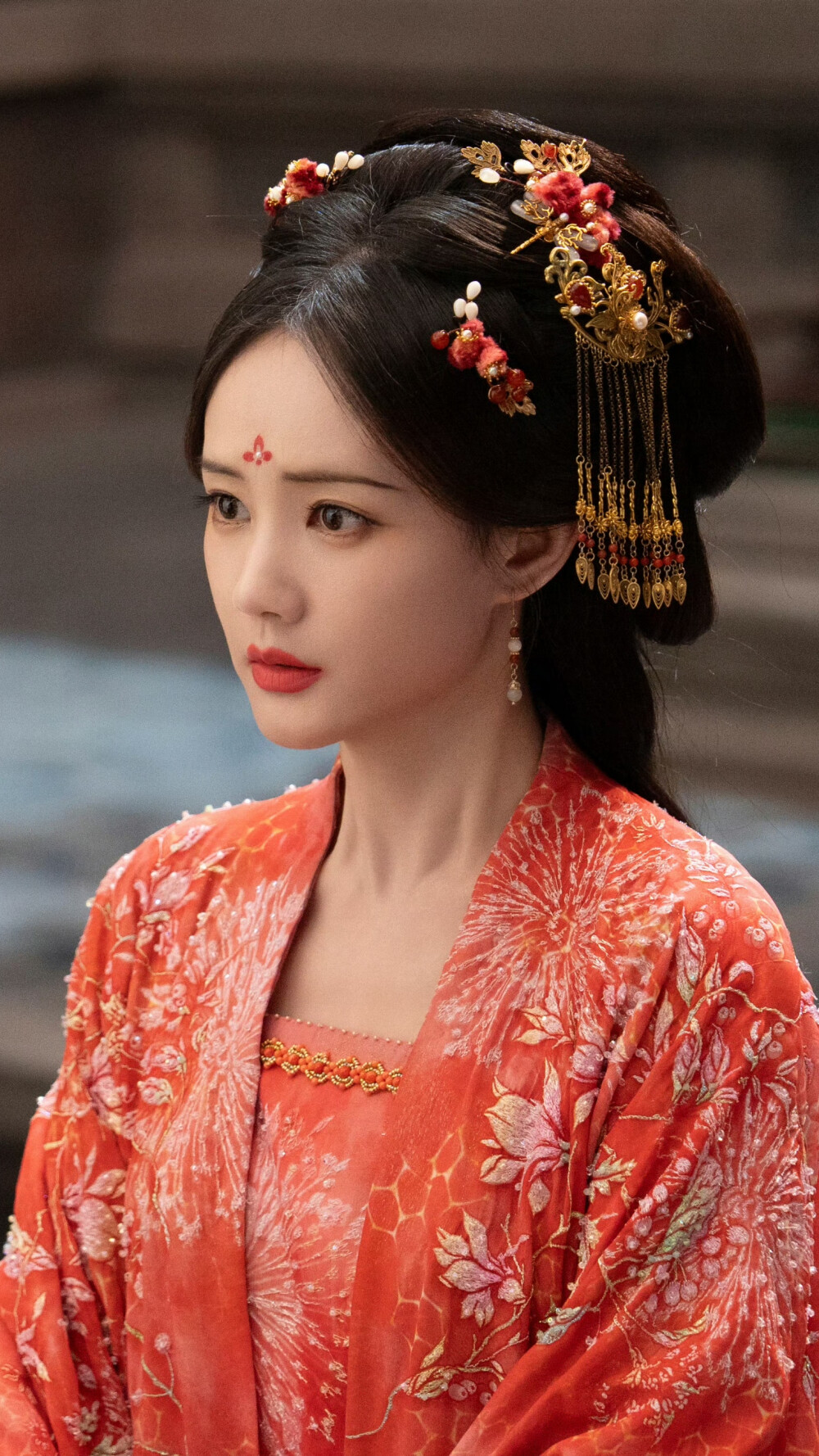 书卷一梦 宋小鱼 宋一梦 李一桐