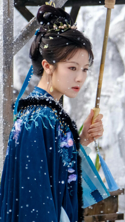 朝雪录 秦莞 李兰迪