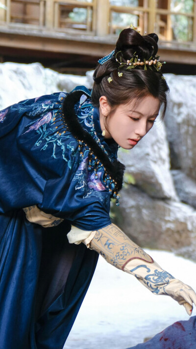 朝雪录 秦莞 李兰迪
