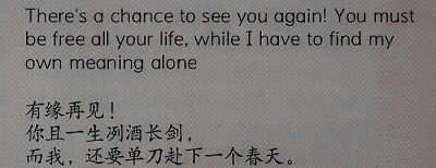  回忆里的胶卷